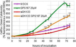 Figure 4: Depletion of DHX33 antagonizes GPS167-mediated cytotoxicity.