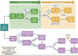 HER2-Low Breast Cancer: Genomic Insights and Evolving Treatment Paradigms