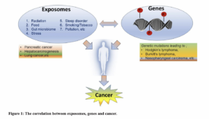 How Environmental Exposures Affect Genes and Increase Cancer Risk